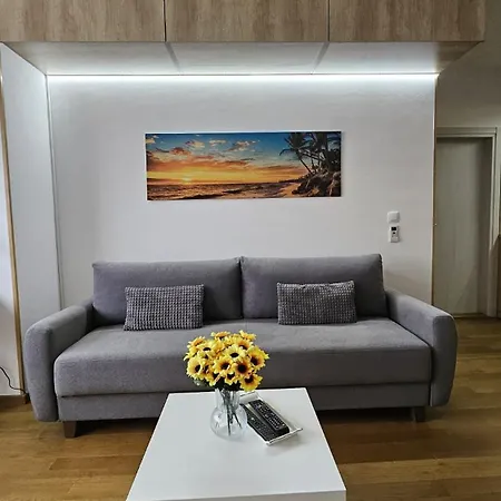 Porodicno-poslovni Udoban Stan