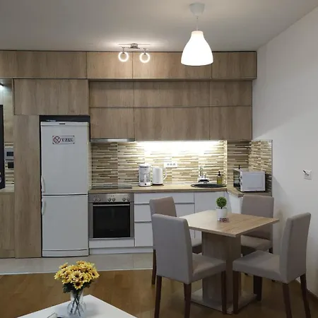 Porodicno-poslovni Udoban Stan בלגרד