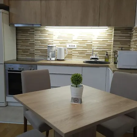 Porodicno-poslovni Udoban Stan Appartement