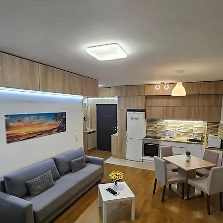 Porodicno-poslovni Udoban Stan Belgrade