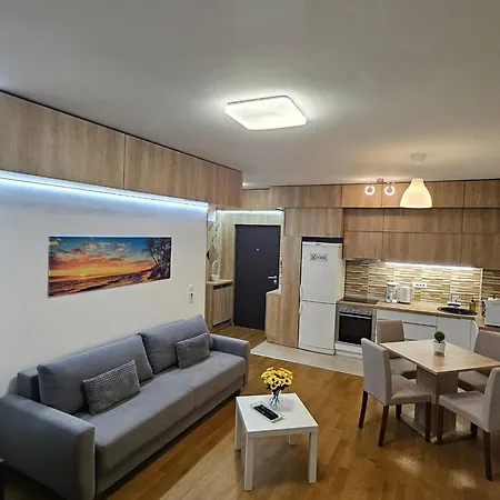 Appartement Porodicno-poslovni Udoban Stan Belgrade