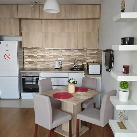 Porodicno-poslovni Udoban Stan Appartement Belgrade